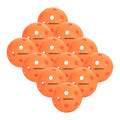 Indoor Pickleballs